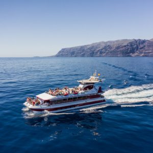 Hajókirándulás és bálnales üvegfenekű hajóval – Tenerife