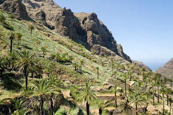 La-Gomera-szigettúra-magyar-nyelven