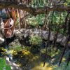 loro-park-tenerife-belépő-jegy