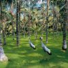 loro-park-tenerife-belépő-jegy