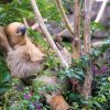loro-park-tenerife-belépő-jegy