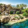 loro-park-tenerife-belépő-jegy