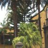 Tenerife-Candelaria-La-Laguna-Santa-Cruz-városnézés-magyarul