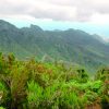 Tenerife-Candelaria-La-Laguna-Santa-Cruz-városnézés-magyarul