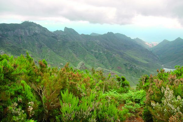 Tenerife-Candelaria-La-Laguna-Santa-Cruz-városnézés-magyarul