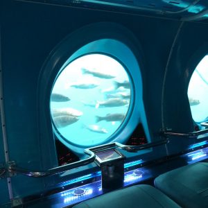 Tengeri élővilág megfigyelése tengeralattjáróval – Tenerife