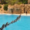 loro-park-tenerife-belépő-jegy