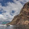 Delfin-balnales-katamarannal-3-oras-28