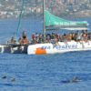 Delfin-balnales-katamarannal-3-oras-66