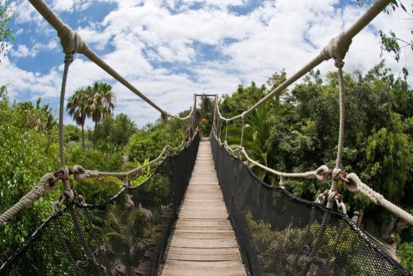 Dzsungel-Park-Tenerife