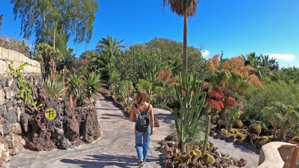 Dzsungel-Park-Tenerife