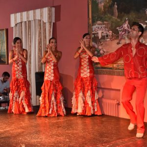 Flamenco est Puerto de La Cruzban