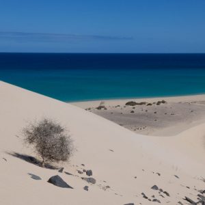 Fuerteventura szigettúra magyar nyelven