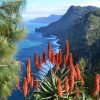 Jeep-tura-Madeira-keleti-reszere-39