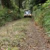 Jeep-tura-Madeira-keleti-reszere-49