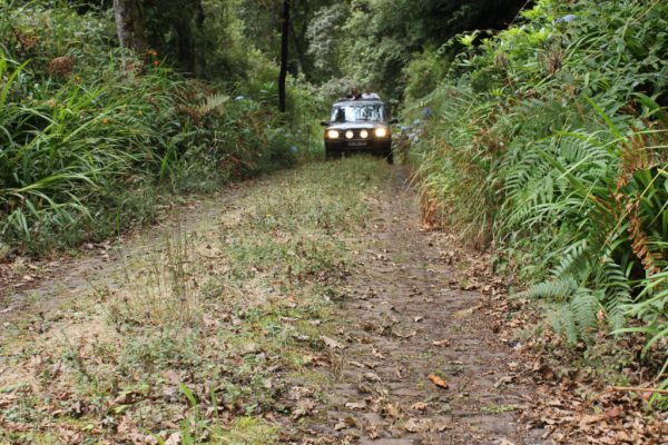Jeep-tura-Madeira-keleti-reszere-49
