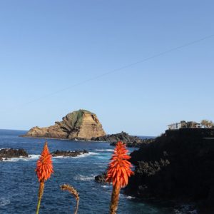 Jeep-tura-Madeira-nyugati-reszere-8-oras