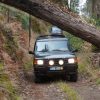 Jeep-tura-Madeira-nyugati-reszere-8-oras-18