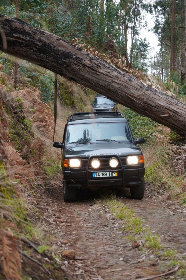 Jeep-tura-Madeira-nyugati-reszere-8-oras-18