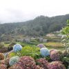 Jeep-tura-Madeira-nyugati-reszere-8-oras-6