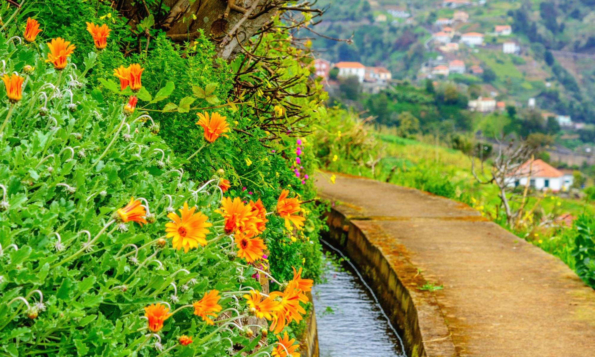 You are currently viewing Funchal és környéke: lenyűgöző látnivalók nyomában