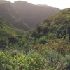 Gran-Canaria-látnivalók-Fél-napos-kirándulás-Telde-őslakosok-barlangépületei-olívafarm