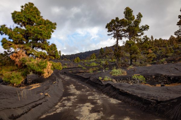 La-Palma-szigetlátogatás-teneriféről