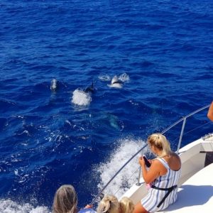 Delfin és bálnales (Közép – Fuerteventura)